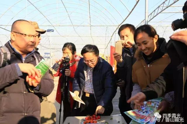 魅力龙泉,龙泉镇富硒采摘园