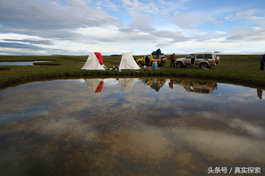 荒野求生秘籍完整版,荒野自救教程