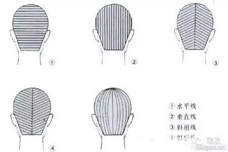 美发基础剪发全套教程视频,美发剪裁基础知识理论新手必学