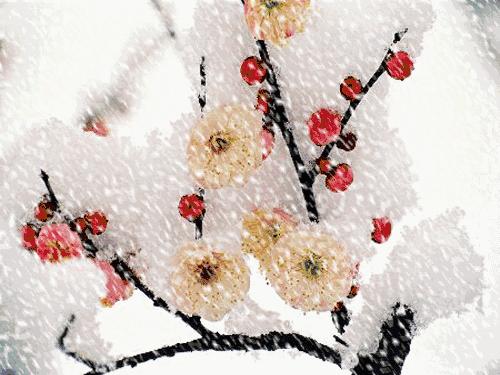 青江梅花香雪海,香雪海梅花国画