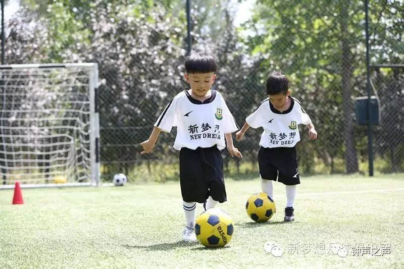 “会遇到困难但都很新鲜”新梦想阳光创始人官洪仙访谈