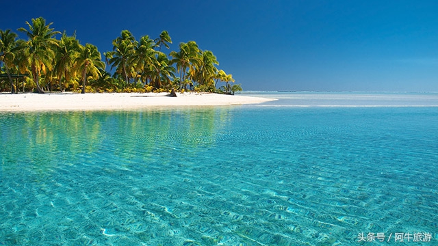 春日美丽的景色,春日里的风景美景