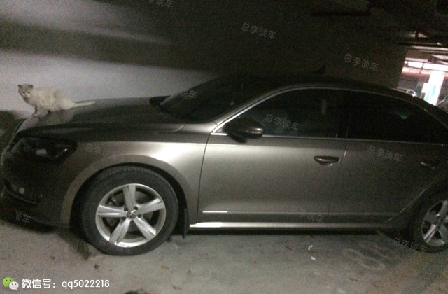 丈母娘说，车上有个老鼠的车是什么牌子？寻思半天，原来是它