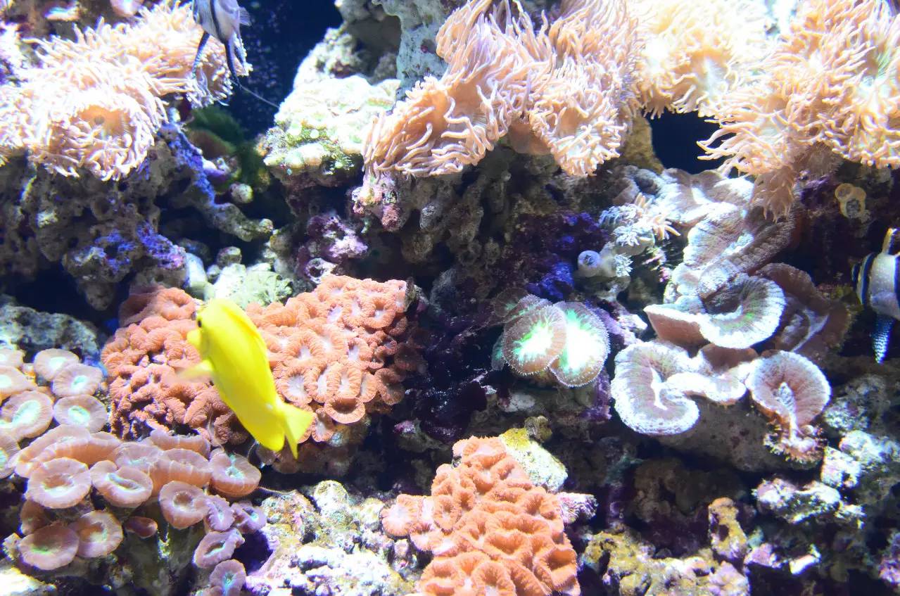 新加坡旅游攻略自由行圣淘沙,新加坡圣淘沙游玩攻略亲子