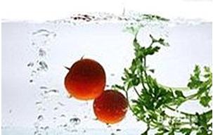 预防脱发的食物有哪些,雄激素脱发吃什么食物