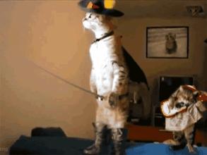 没其他想说的，今天周末，大家耍开心就好!