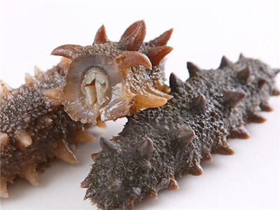 适合孕妇国外旅游景点,国外孕妇旅游必买清单