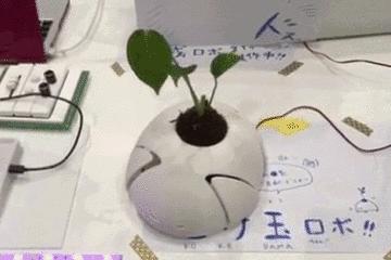 看完这18张科技动态图，我不相信日本是个严肃的民族