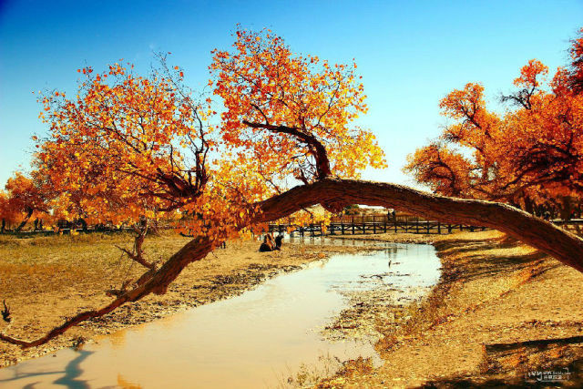 中国每个季节的旅游攻略 (中国一年四季的旅游攻略)
