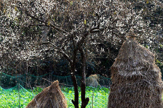贵州独特之美,贵州风景之最