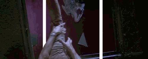 侏罗纪公园中的恐龙,侏罗纪水上乐园出现真实恐龙