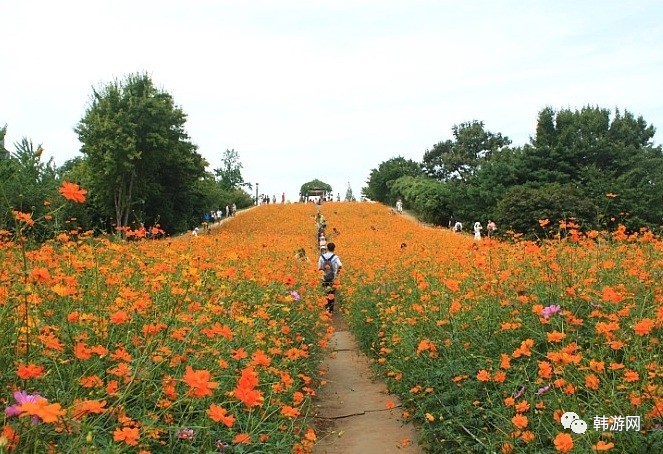 四天三晚首尔游,韩国周末游首尔购物