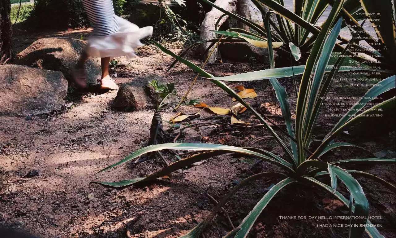 入门摄影卡片机推荐,街拍卡片机推荐