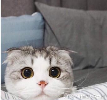 农村创业,可以做哪些项目呢?