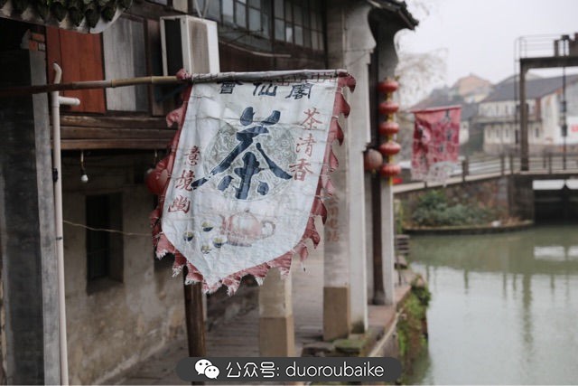 古镇寻肉记:那些旅行中遇见的植物!