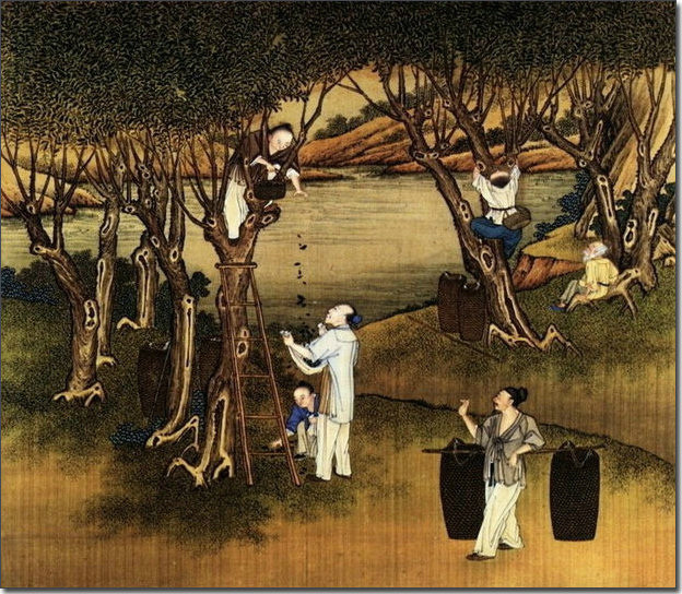 二十四节气24幅古画24首诗,二十四节气古画欣赏图