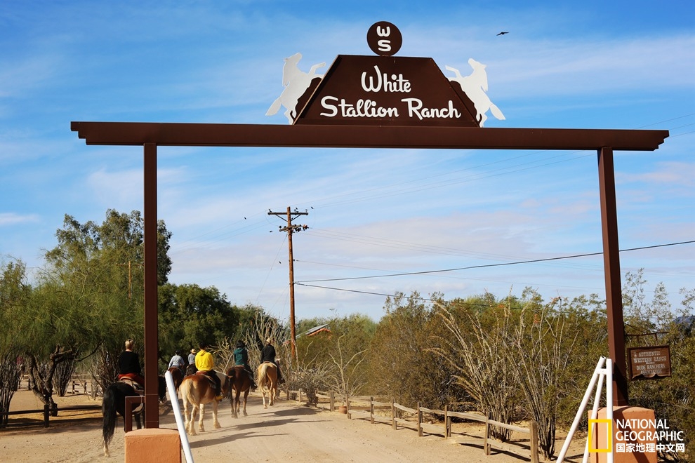 图森仙人掌,图森地理位置