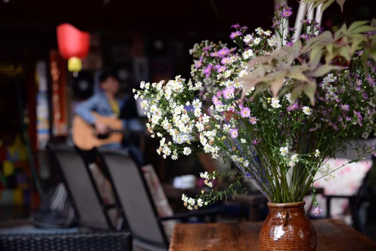 我在丽江那些柔软时光,丽江庭院之柔软时光