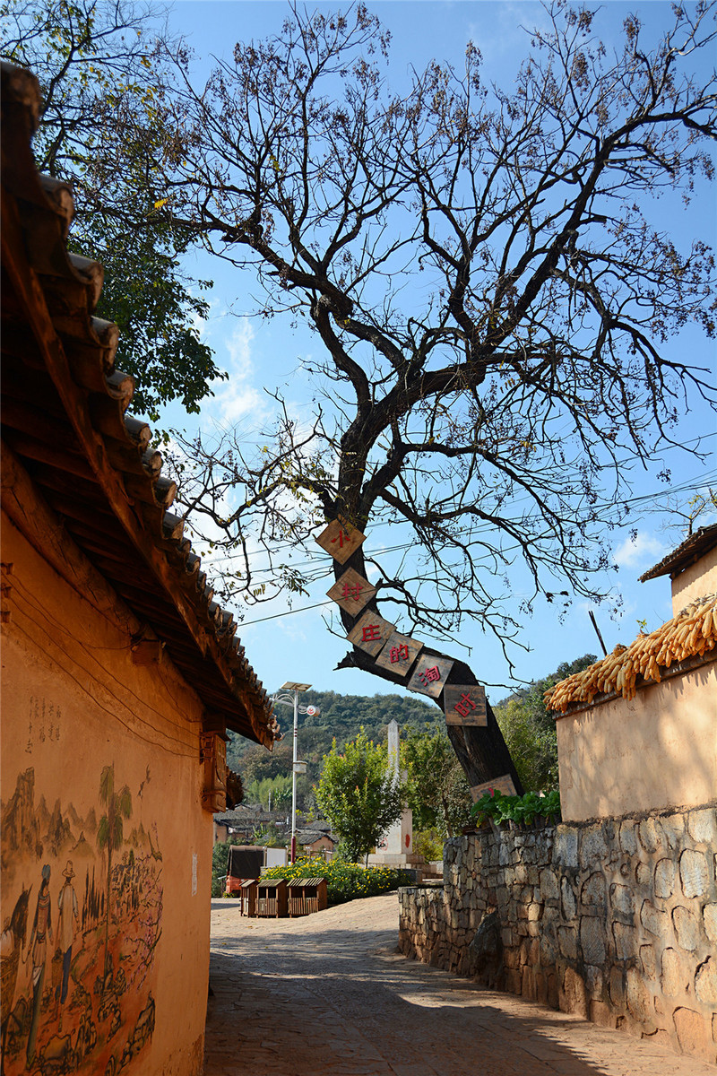 说走就走的旅行云南红河,邂逅云南高原美景