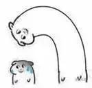 煎鸡蛋做出你喜欢的样子,如何做出好吃的煎鸡蛋