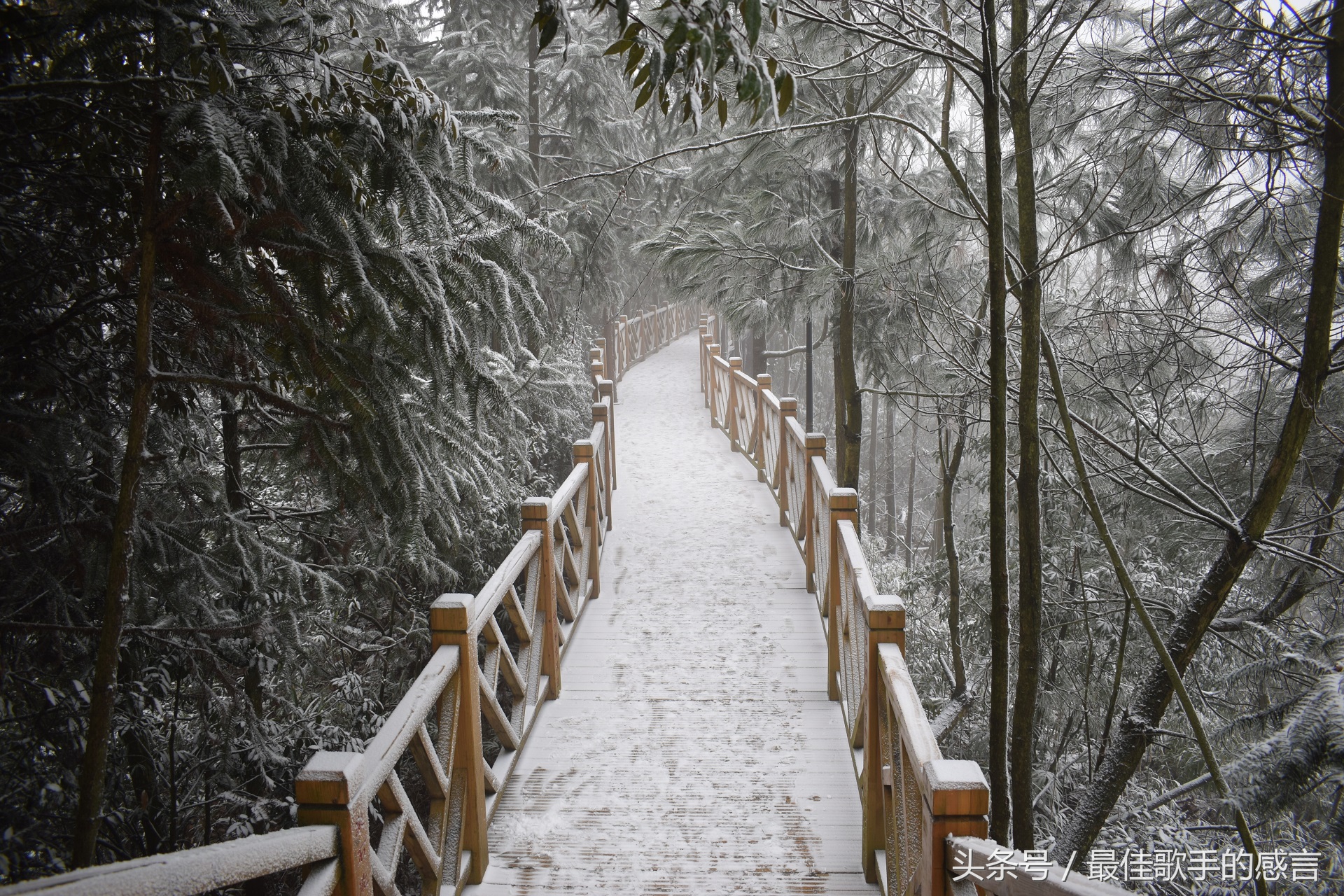 尼康d3300相机推荐新手入门,尼康d3300单反相机入门教程