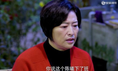 李小璐的脸经历了什么,李小璐脸很大吗