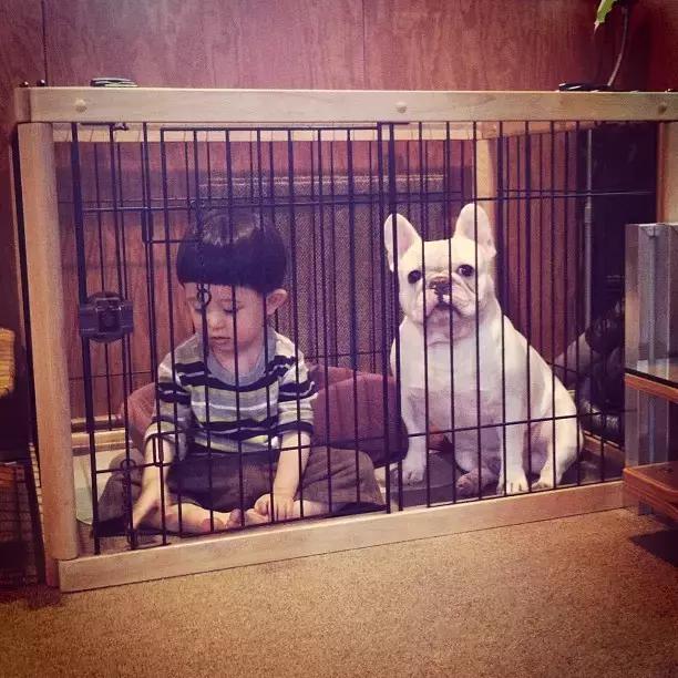 有个喜欢你的女生,有个喜欢的人真好