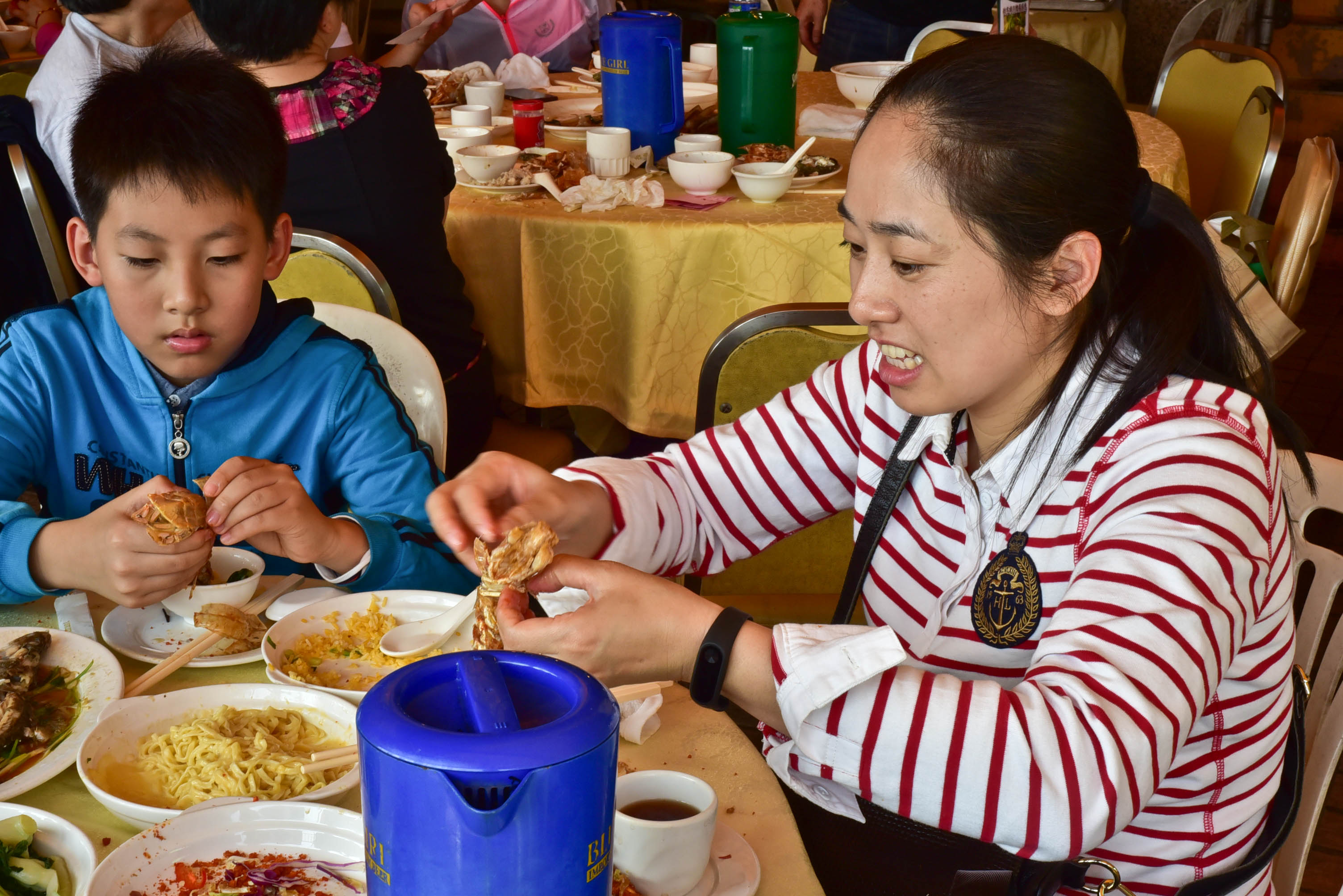 兔子游云南,兔子游老君山视频