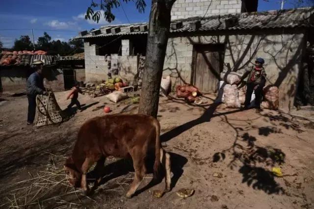 李劲松昭通,昭通李劲松