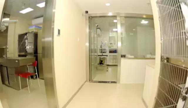 成都宠物寄养基地,成都狗狗寄养