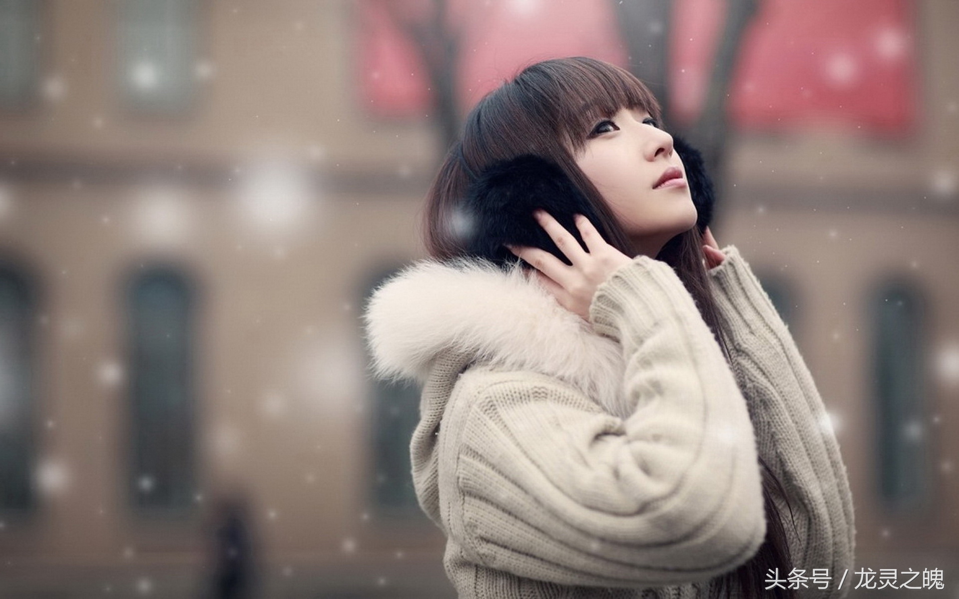 里面毛外面皮的衣服怎么清洗,绒毛脏了怎么清理