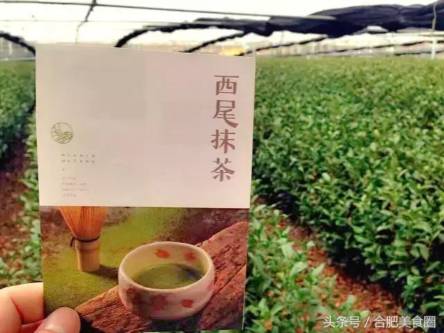 抹茶分层的乳酪蛋糕抹茶控看过来,抹茶控巧克力控看过来
