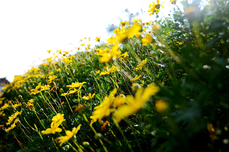 说走就走的旅行云南红河,邂逅云南高原美景