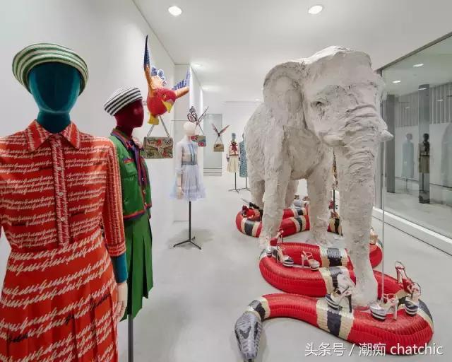 newgucci (新的gucci要怎么看)