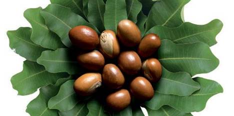 护手霜测评真实推荐,护手霜推荐第一名凡士林测评