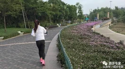 厦马马拉松反超,菜鸟一路走来的逆袭之旅