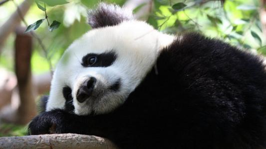 川西美丽地方,川西最迷人的地方