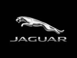 家宠美洲虎,人工饲养的美洲虎