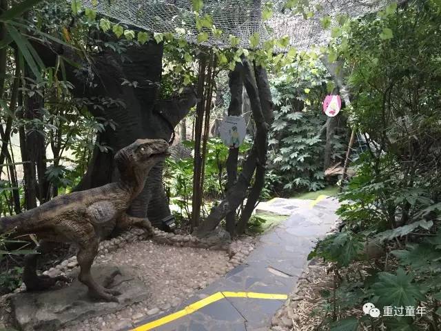 常州恐龙园省钱攻略,常州恐龙园恐龙穿越侏罗纪