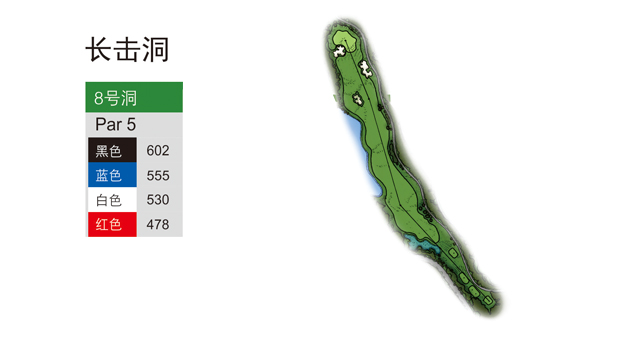 2023佛山青少年锦标赛,广东佛山足球青少年比赛