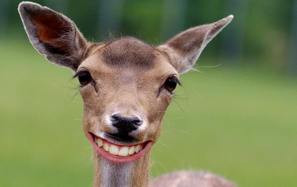 日语口语每日一练,日语每天一句口语练习