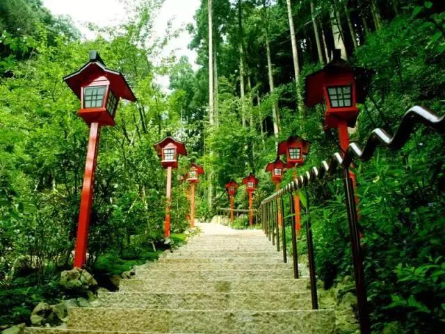 买特价飞机票攻略,买特价机票旅游