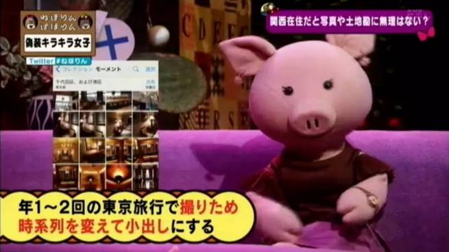 淘宝白富美,淘宝网红店揭秘