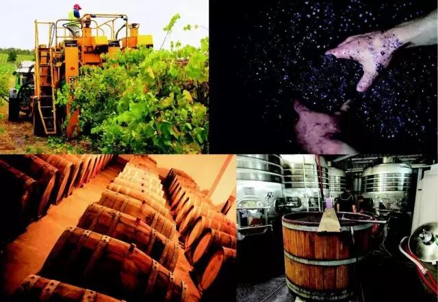 澳大利亚葡萄酒为什么下滑,为什么澳大利亚的葡萄酒历史很久