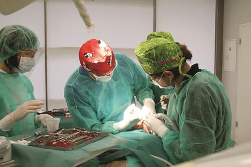 上海知名口腔诊所,上海齿科哪家口碑好