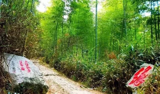 宁波北仑旅游攻略图,宁波北仑旅游景点大全攻略图