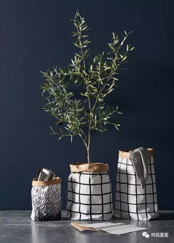 用植物点缀空间，请先抛弃老土花器