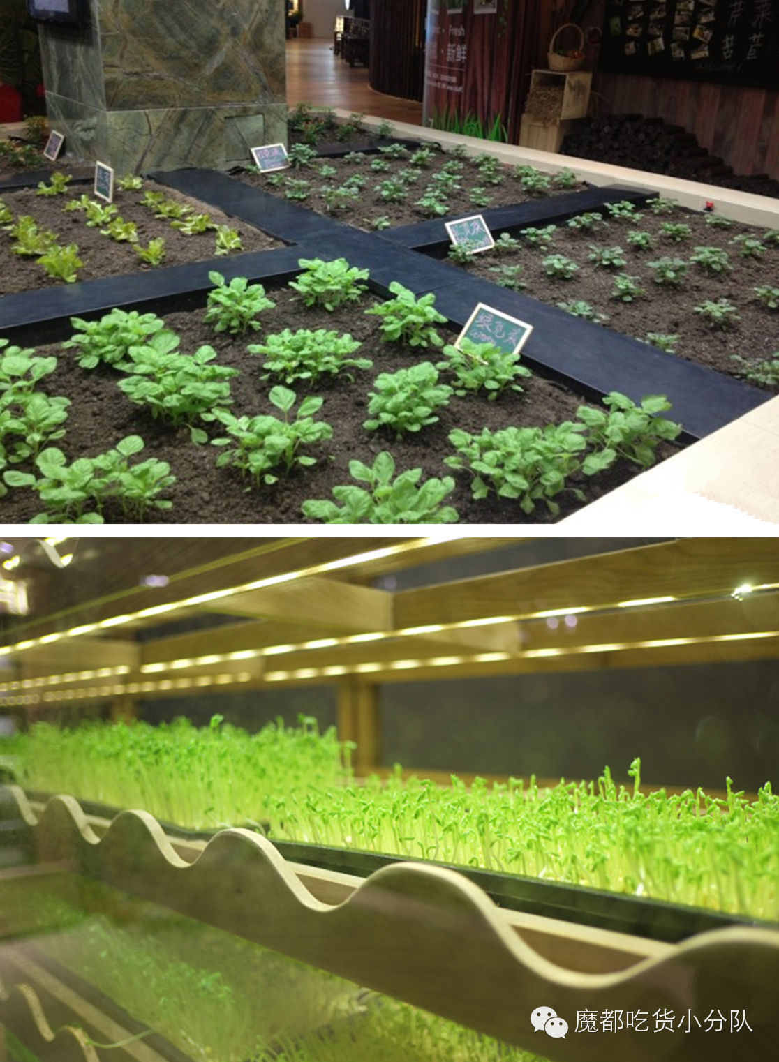 上海十大必吃美食街区排名,上海美食最多的商场推荐