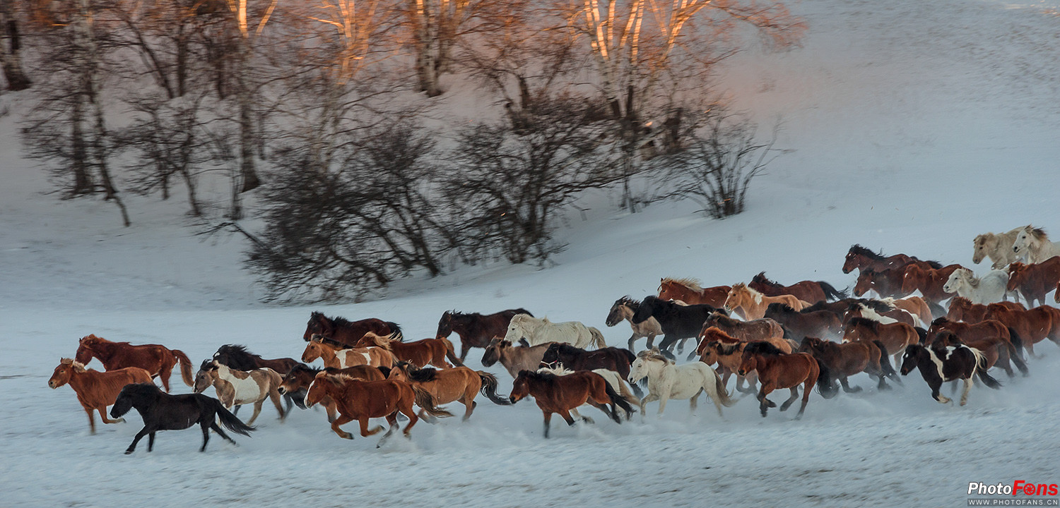 鍐ぉ绛栭┈濂旇吘瑙嗛,鍐棩鑽夊師楠戦┈瑙嗛绛栭┈濂旇吘