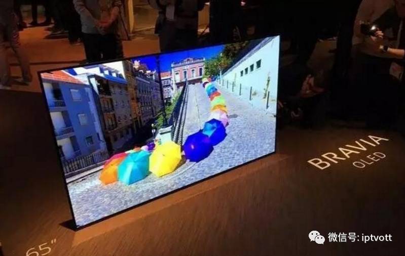 朝花夕拾0409,朝花夕拾2019